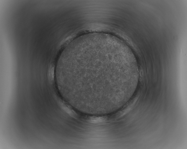 X0000111160454200908111157