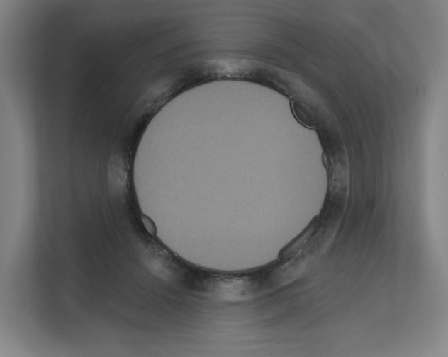X0000111160456200908111157