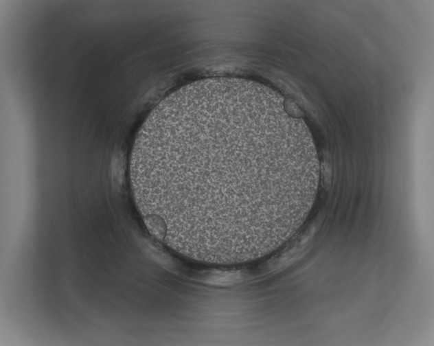 X0000111160458200908111157