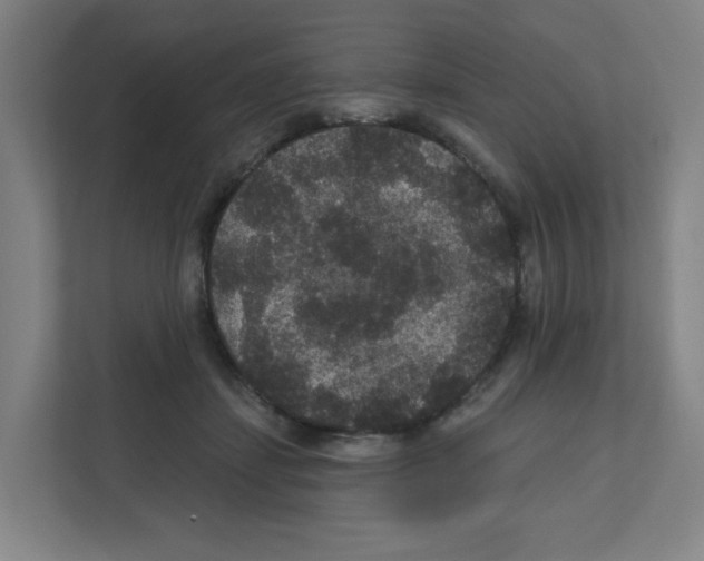 X0000111160459200908111157
