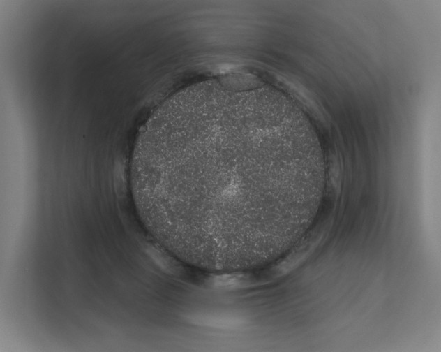 X0000111160461200908111157