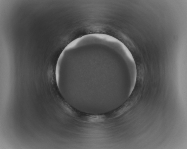 X0000111160465200908111157