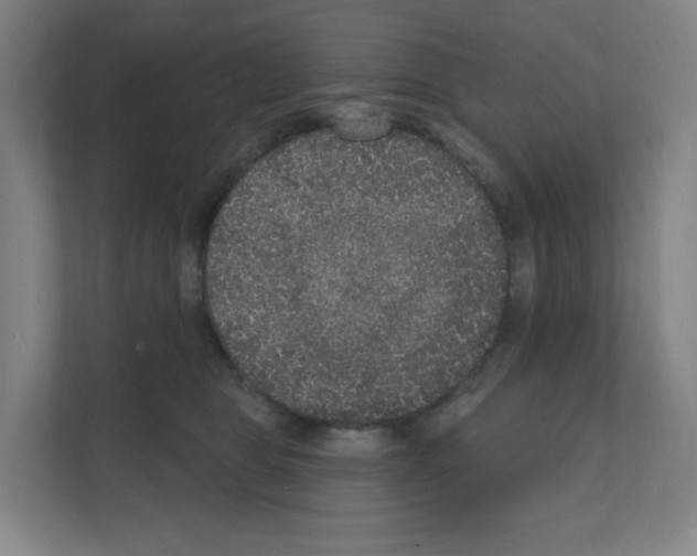 X0000111160469200908111157