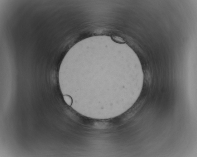 X0000111160470200908111157