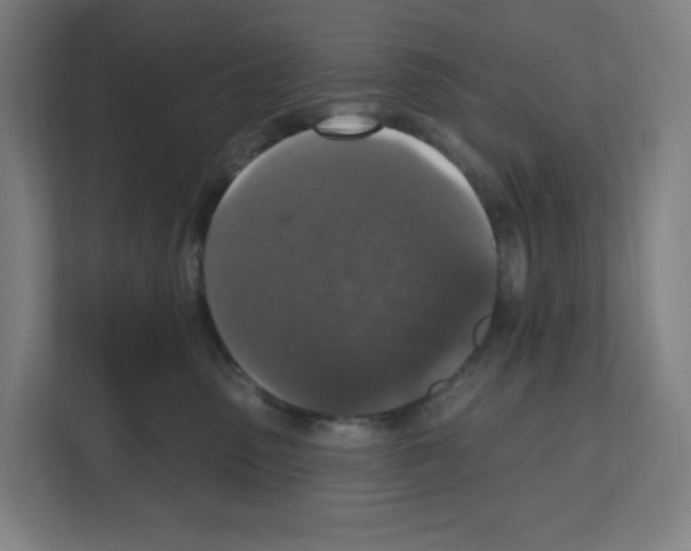 X0000111160475200908111157