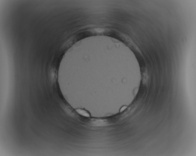 X0000111160476200908111157