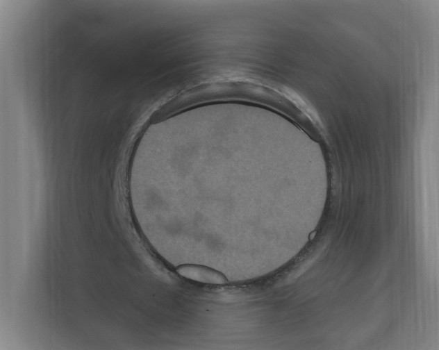 X0000111160481200908111157