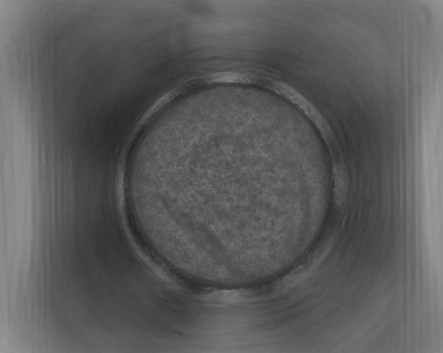 X0000111160482200908111157