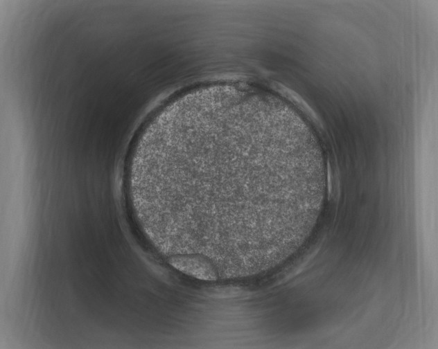 X0000111160483200908111157
