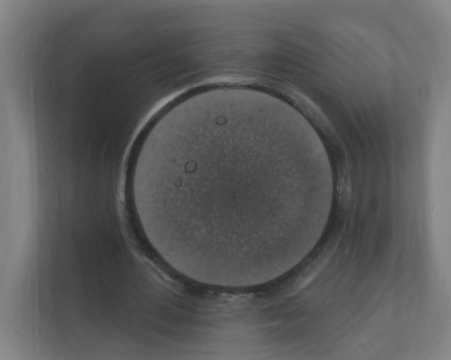 X0000111160484200908111157