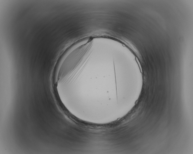 X0000111160485200908111157
