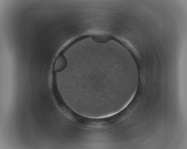X0000111160488200908111157