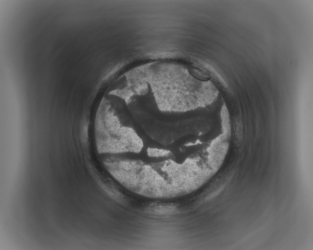 X0000111160491200908111157