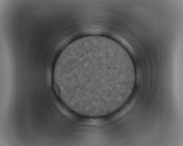 X0000111160493200908111157