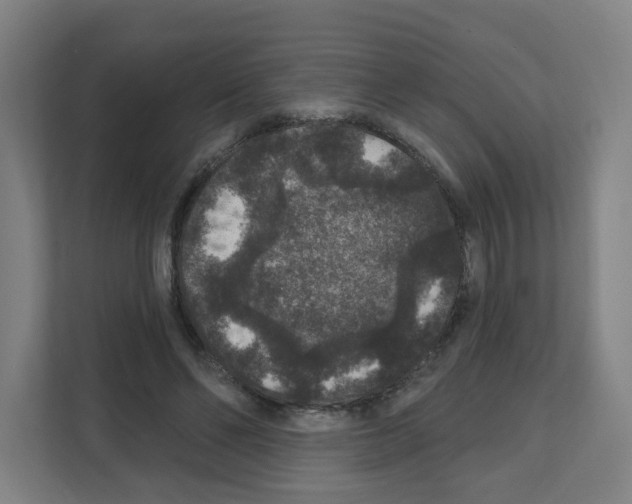 X0000111160494200908111157