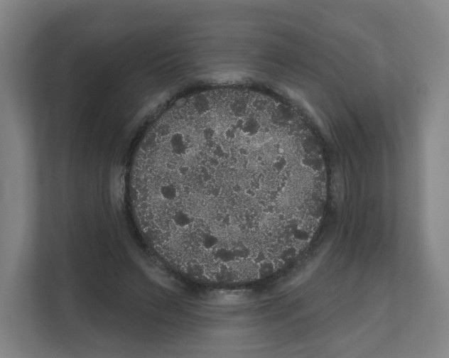 X0000111160495200908111157