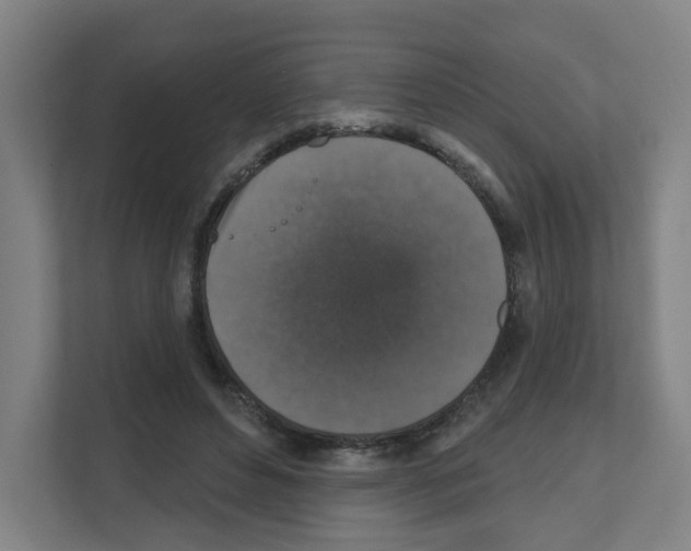 X0000111160496200908111157