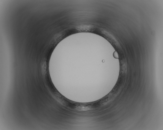 X0000111160498200908111157