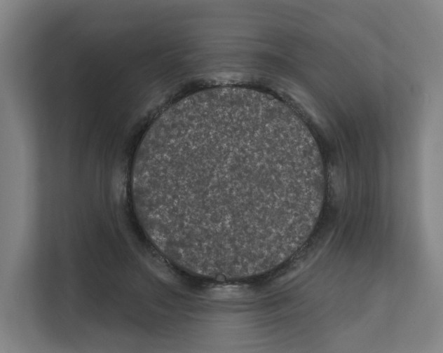 X0000111160499200908111157