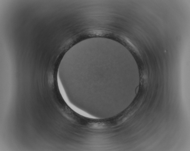 X0000111160500200908111157