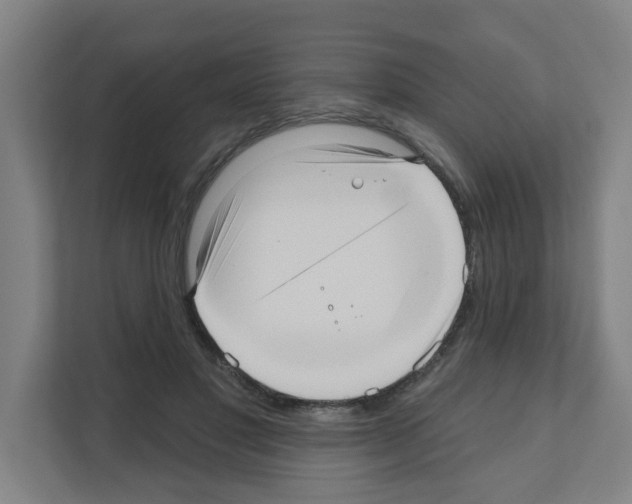 X0000111160501200908111157