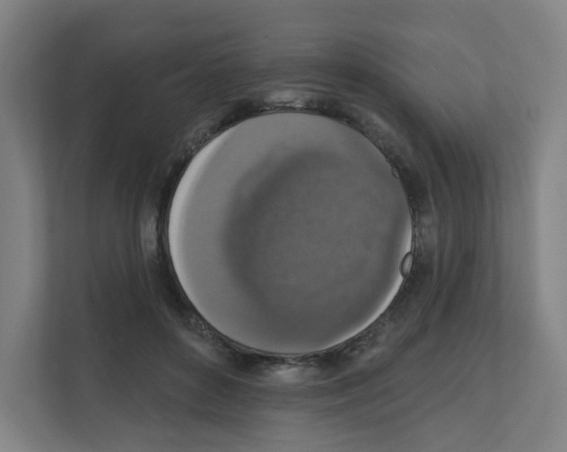 X0000111160504200908111156