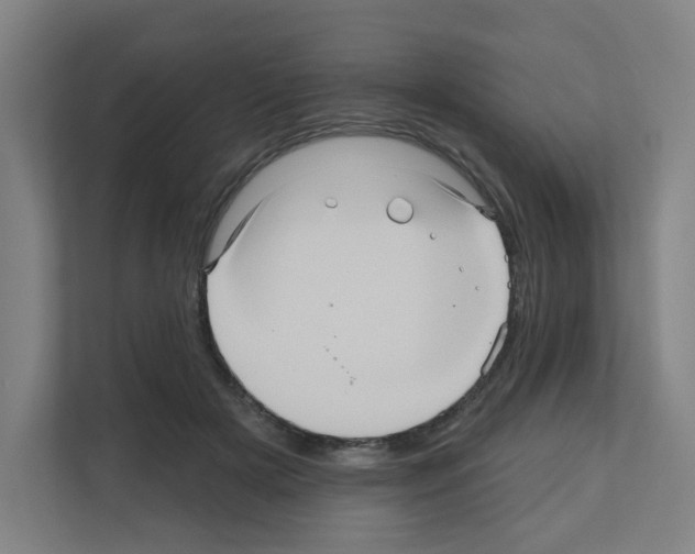 X0000111160505200908111156