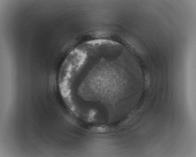 X0000111160506200908111156