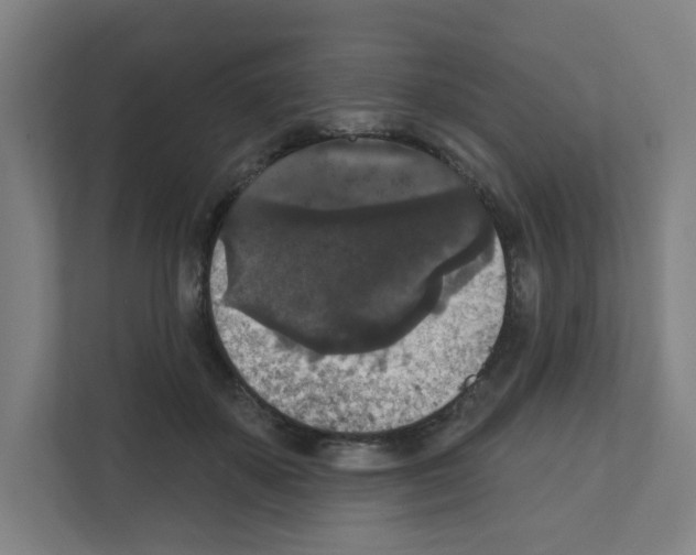 X0000111160507200908111156