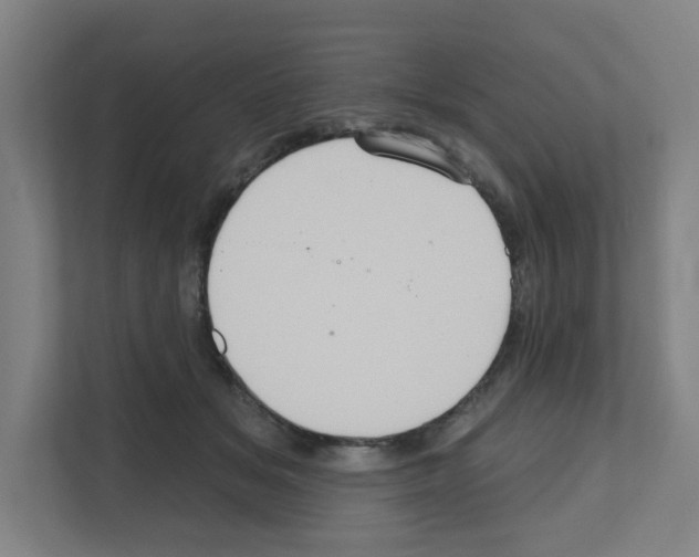X0000111160509200908111156
