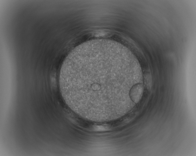 X0000111160510200908111156