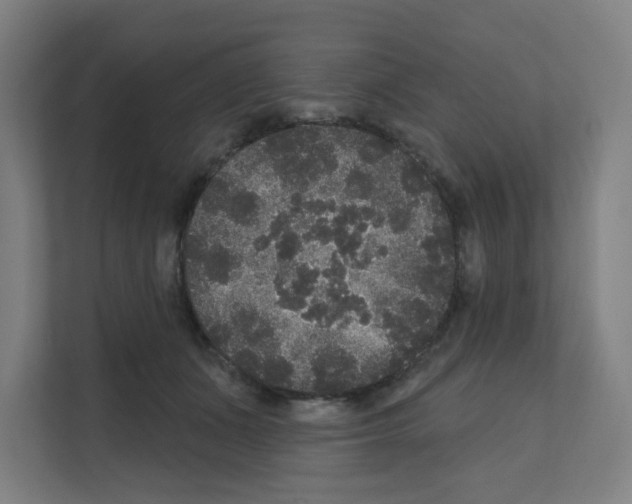 X0000111160511200908111156