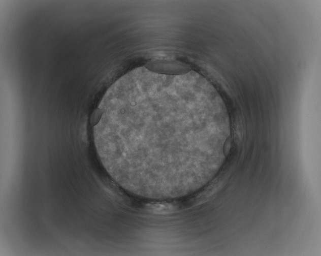 X0000111160512200908111156