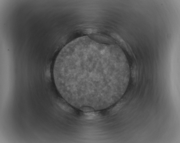 X0000111160516200908111156