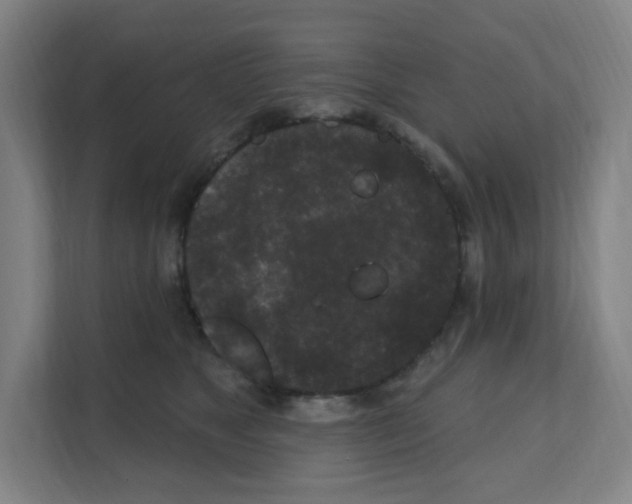 X0000111160517200908111156