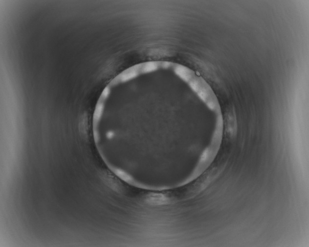 X0000111160519200908111156