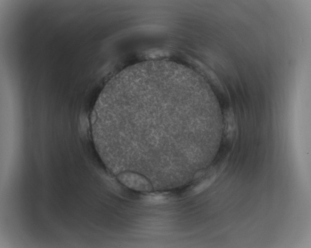 X0000111160523200908111156