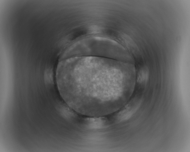 X0000111160524200908111156