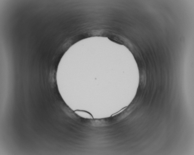 X0000111160525200908111156