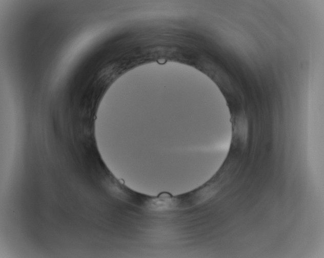 X0000111160526200908111156