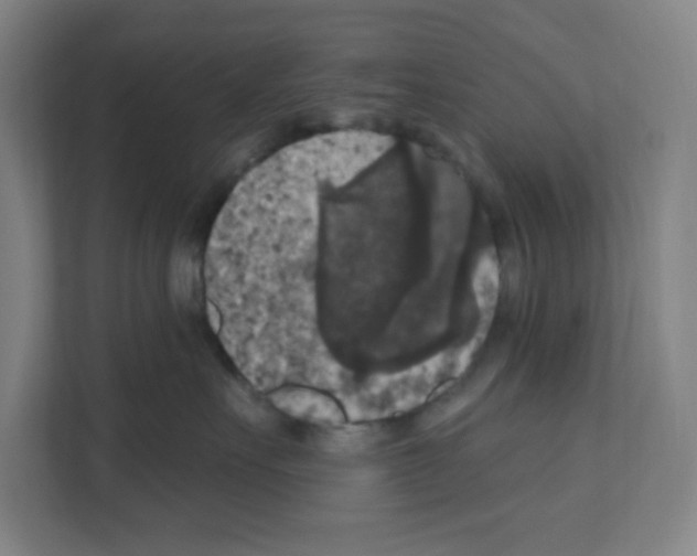 X0000111160527200908111156