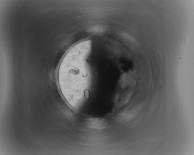 X0000111160528200908111156