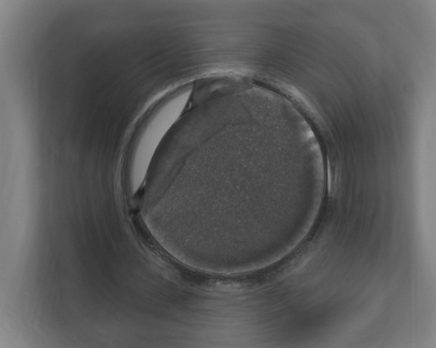 X0000111160531200908111156