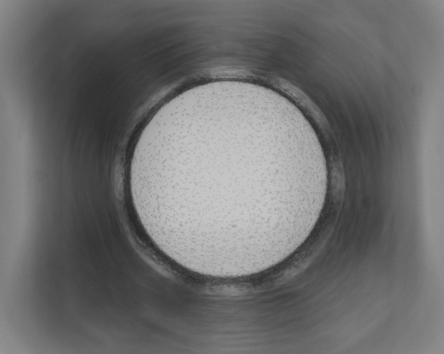 X0000111160533200908111156