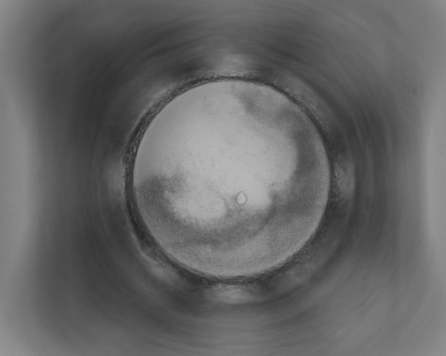 X0000111160534200908111156