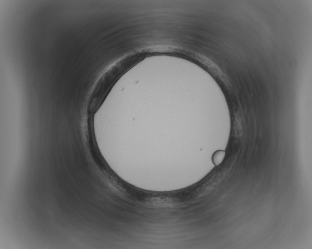 X0000111160535200908111156