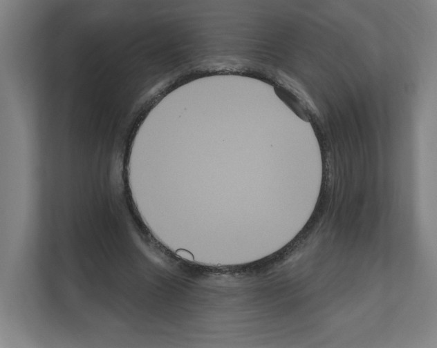 X0000111160538200908111156