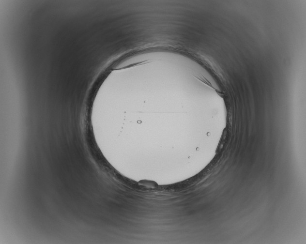 X0000111160540200908111156