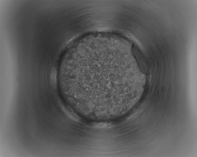 X0000111160542200908111156