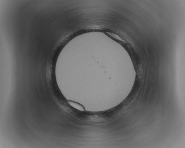 X0000111160544200908111156